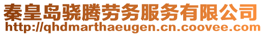 秦皇島驍騰勞務(wù)服務(wù)有限公司