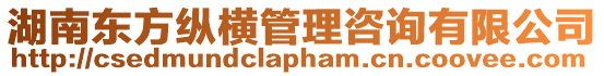 湖南東方縱橫管理咨詢(xún)有限公司