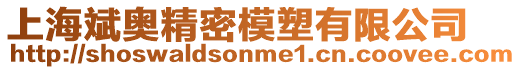 上海斌奧精密模塑有限公司