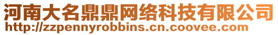 河南大名鼎鼎網絡科技有限公司