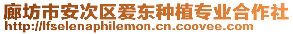廊坊市安次區愛東種植專業合作社