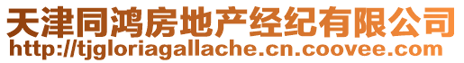 天津同鴻房地產(chǎn)經(jīng)紀有限公司