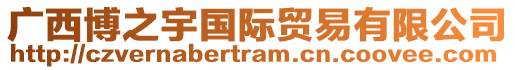 廣西博之宇國際貿易有限公司