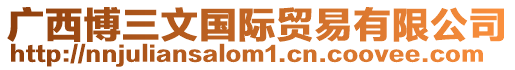 廣西博三文國際貿(mào)易有限公司