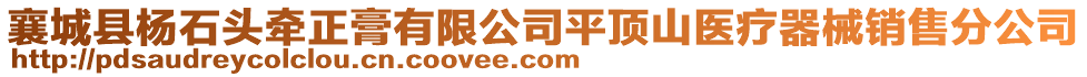 襄城縣楊石頭牽正膏有限公司平頂山醫療器械銷售分公司