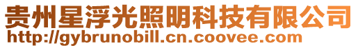貴州星浮光照明科技有限公司