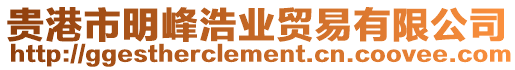 貴港市明峰浩業貿易有限公司