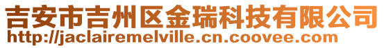吉安市吉州區金瑞科技有限公司