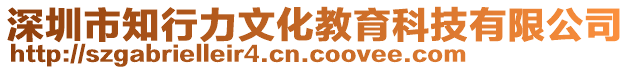 深圳市知行力文化教育科技有限公司