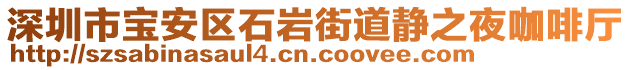 深圳市寶安區(qū)石巖街道靜之夜咖啡廳