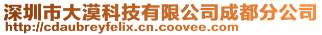 深圳市大漠科技有限公司成都分公司