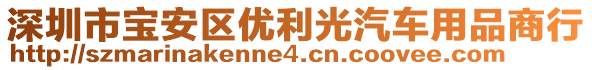 深圳市寶安區(qū)優(yōu)利光汽車用品商行