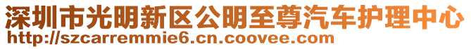 深圳市光明新區(qū)公明至尊汽車護理中心