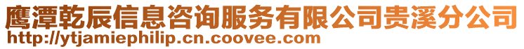 鷹潭乾辰信息咨詢服務(wù)有限公司貴溪分公司