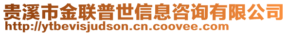 貴溪市金聯(lián)普世信息咨詢有限公司