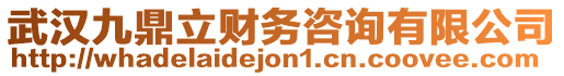 武漢九鼎立財務(wù)咨詢有限公司