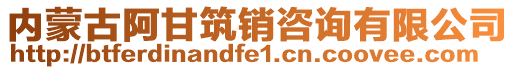 内蒙古阿甘筑销咨询有限公司