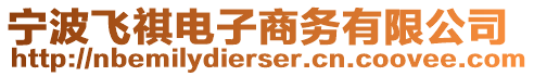 寧波飛祺電子商務(wù)有限公司