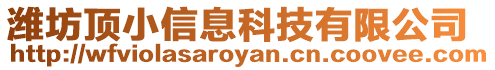 濰坊頂小信息科技有限公司