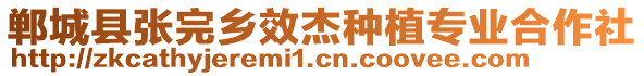 鄲城縣張完鄉(xiāng)效杰種植專業(yè)合作社