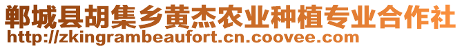 鄲城縣胡集鄉(xiāng)黃杰農(nóng)業(yè)種植專業(yè)合作社