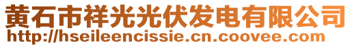 黃石市祥光光伏發(fā)電有限公司