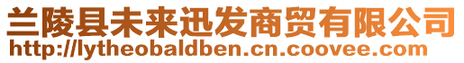 蘭陵縣未來(lái)迅發(fā)商貿(mào)有限公司