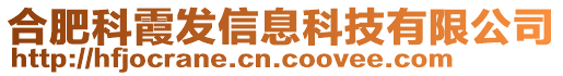 合肥科霞發(fā)信息科技有限公司