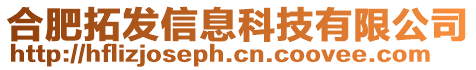 合肥拓發(fā)信息科技有限公司