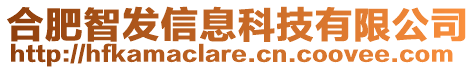 合肥智發(fā)信息科技有限公司