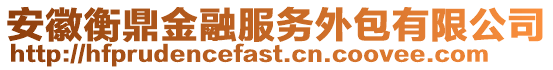 安徽衡鼎金融服務外包有限公司