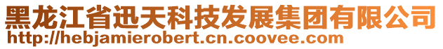 黑龍江省迅天科技發(fā)展集團有限公司