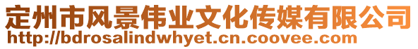 定州市風景偉業(yè)文化傳媒有限公司