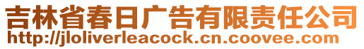 吉林省春日廣告有限責(zé)任公司