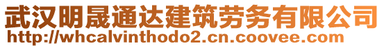 武漢明晟通達(dá)建筑勞務(wù)有限公司