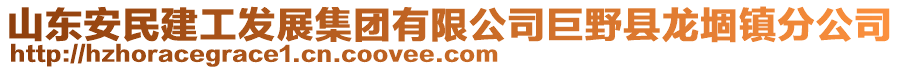 山東安民建工發(fā)展集團(tuán)有限公司巨野縣龍堌鎮(zhèn)分公司