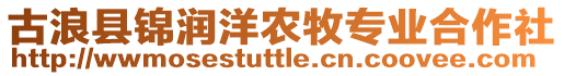 古浪縣錦潤洋農(nóng)牧專業(yè)合作社