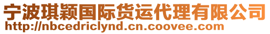 寧波琪穎國際貨運代理有限公司