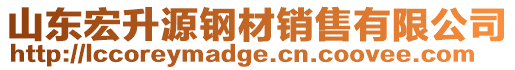 山東宏升源鋼材銷售有限公司