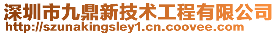 深圳市九鼎新技術工程有限公司