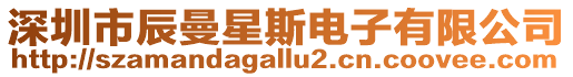 深圳市辰曼星斯電子有限公司