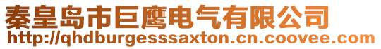 秦皇島市巨鷹電氣有限公司