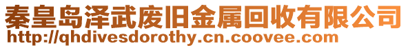 秦皇島澤武廢舊金屬回收有限公司