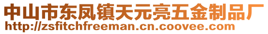 中山市東鳳鎮(zhèn)天元亮五金制品廠