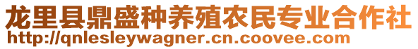 龍里縣鼎盛種養(yǎng)殖農(nóng)民專業(yè)合作社