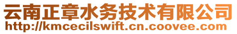 云南正章水務技術有限公司