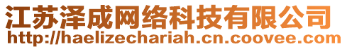 江蘇澤成網(wǎng)絡(luò)科技有限公司