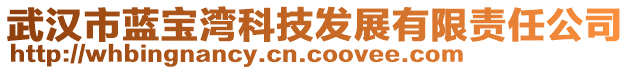 武漢市藍(lán)寶灣科技發(fā)展有限責(zé)任公司