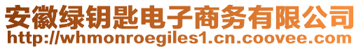 安徽綠鑰匙電子商務有限公司