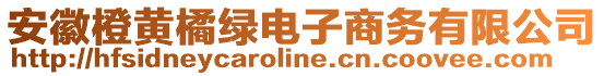 安徽橙黃橘綠電子商務有限公司